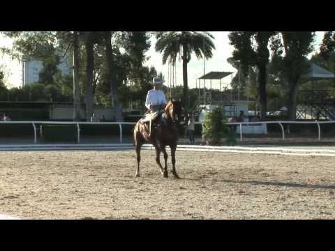 833 Campeona Doma Vaquera Cristina y Brioso XL Aniv. ANDV Ver en 480