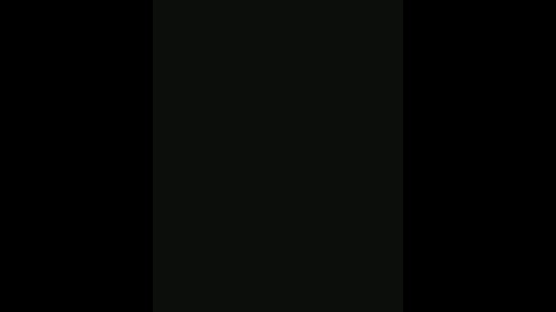 VID_33530920_040441_674.mp4