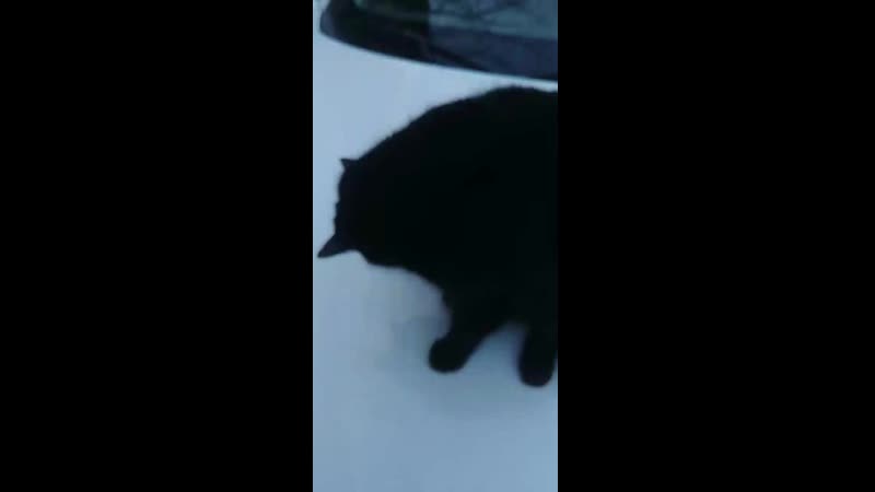 20200216_171009.mp4