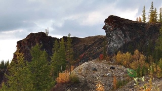 Все оттенки светлого. Национальный парк “Югыд ва“ (The national Park “Yugyd VA“)