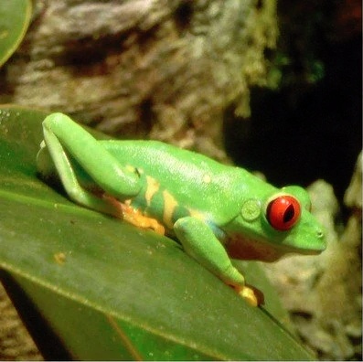 Малкольм Ванг: подросток-фотограф с аутизмом, изображение №2
