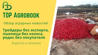 Трейдеры без экспорта, пшеница без колоса, редис без покупателя. TOP Agrobook: обзор агроновостей
