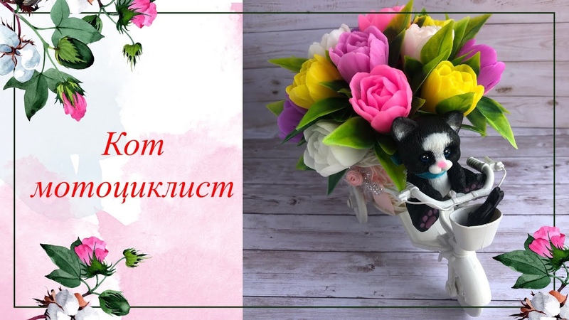 Кот