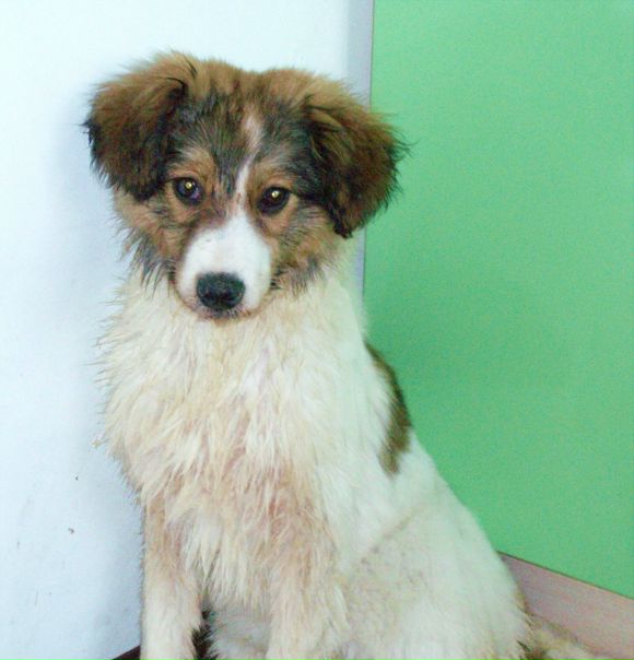 №122, Дмитрий Зинишин, Красноярск №122, Дмитрий Зинишин, Красноярск