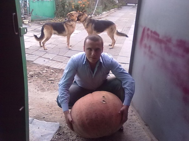 №10, Руслан Курнос, 38 лет, Анапа №10, Руслан Курнос, 38 лет, Анапа