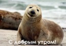 Фотография Колоколова Александра
