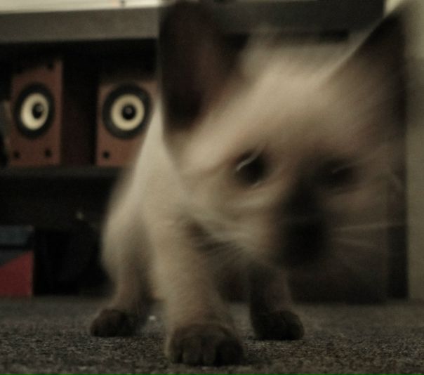 №29, Александр Карасев, Санкт-Петербург №29, Александр Карасев, Санкт-Петербург