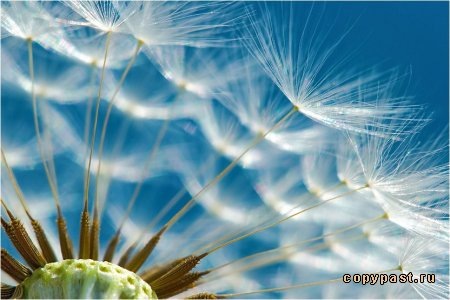 №10, Елена Жеданина, 40 лет, Нижний Новгород №10, Елена Жеданина, 40 лет, Нижний Новгород