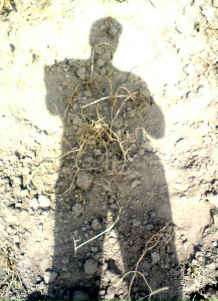 №167, Михайло Бойко, 35 лет, Киев №167, Михайло Бойко, 35 лет, Киев