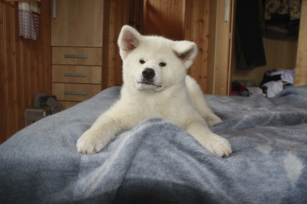 Александр Скобликов | Харьков