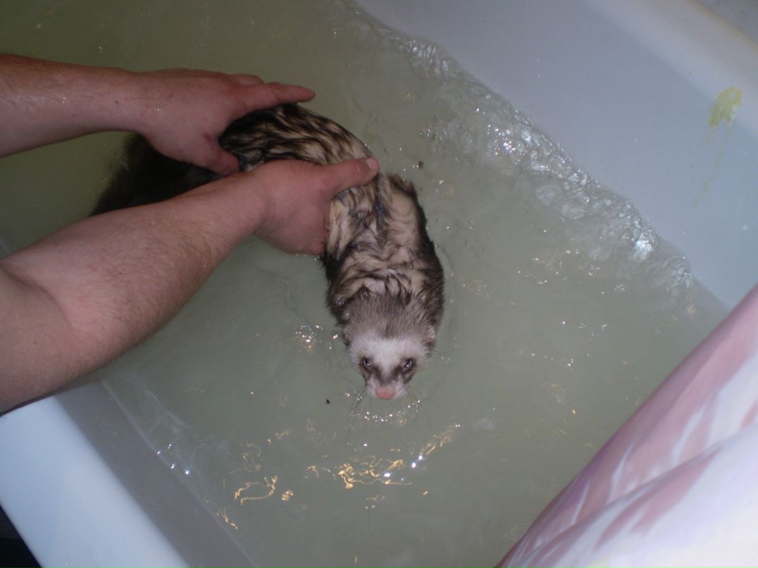 Сергей Лобаков | Москва