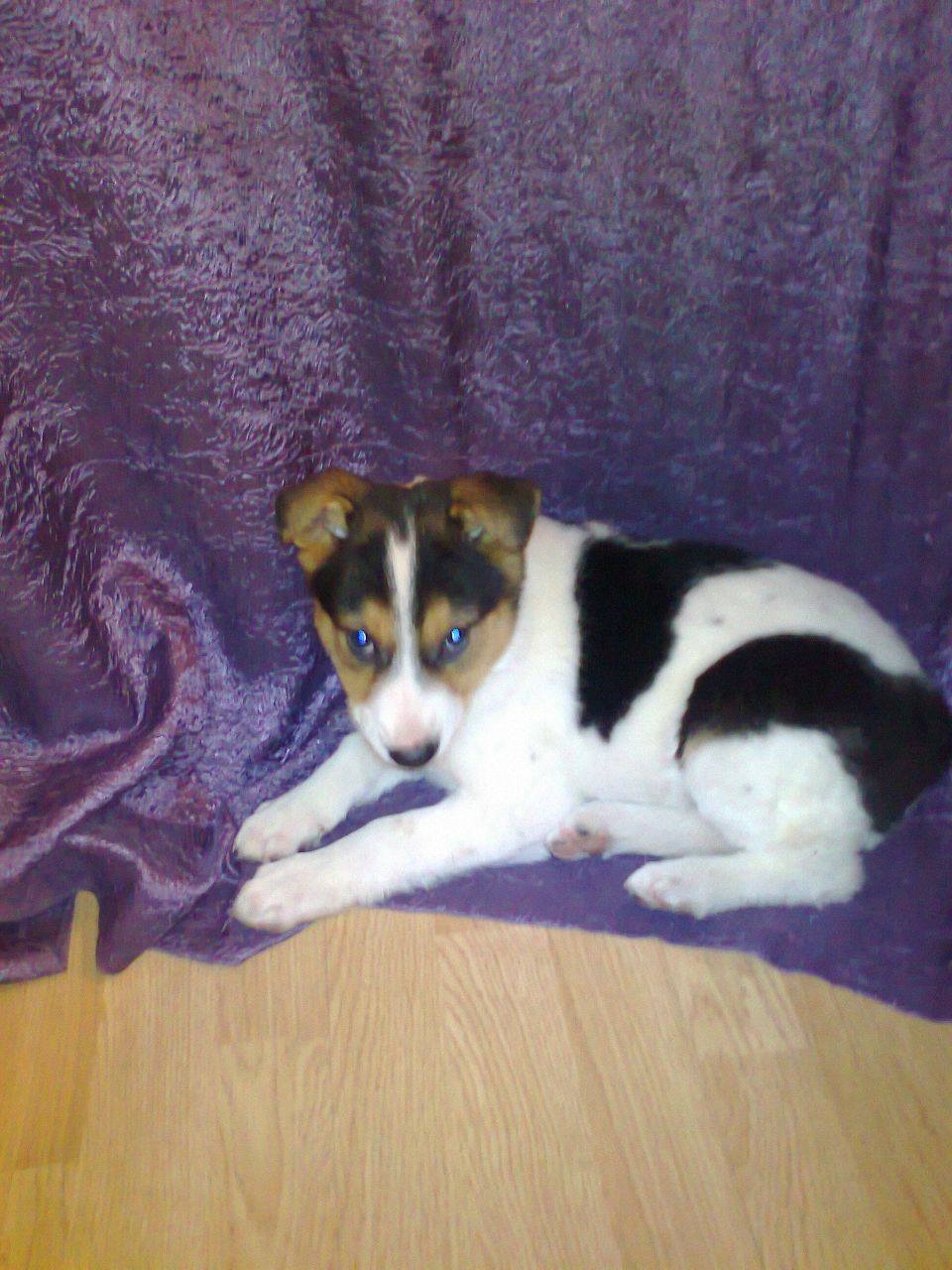 Никита Сарычев Андреевич | Магнитогорск