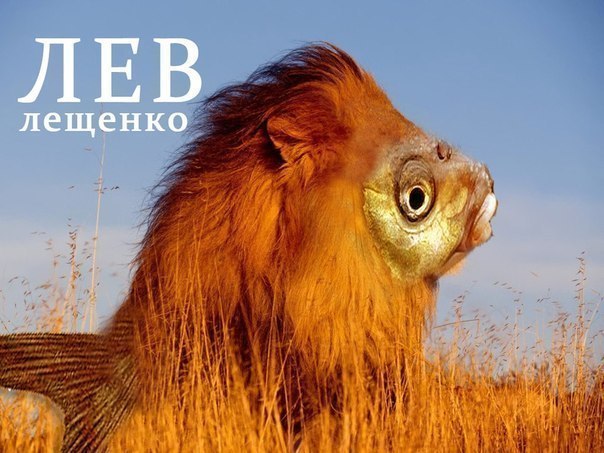 №93, Славик Томашевський, Киев №93, Славик Томашевський, Киев