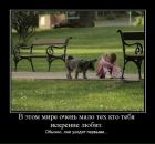 Фотография Марина Платонов