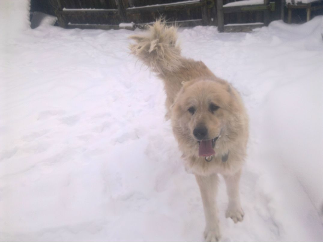 Коля Попов | Якутск