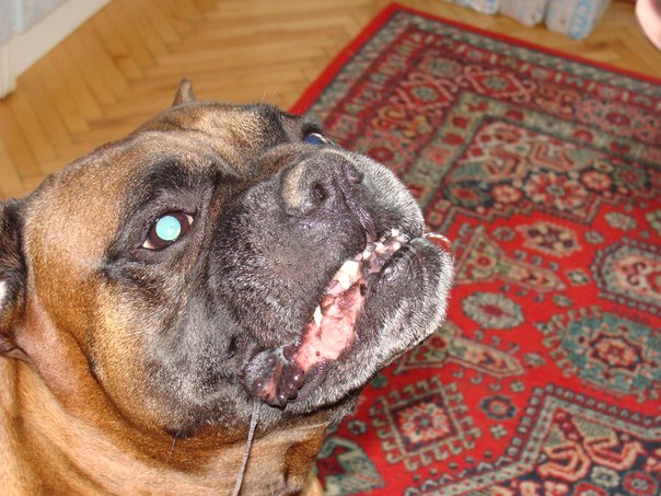 Тарас Василів фото профиля #1