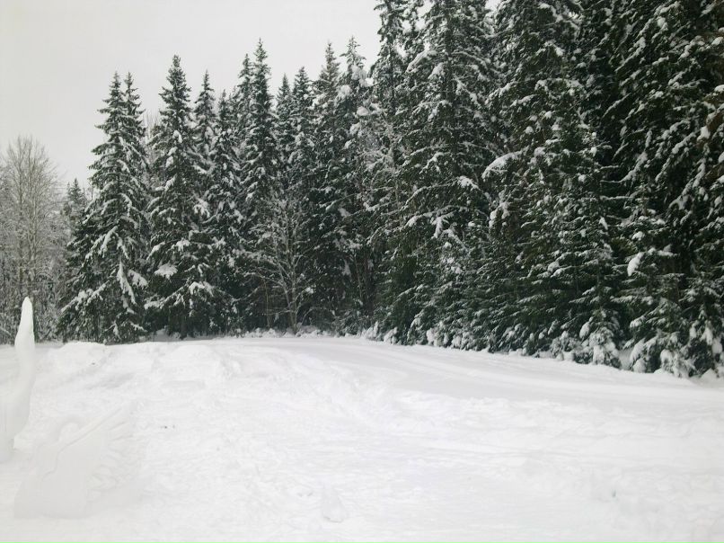 Светлана Саликова ★ | Санкт-Петербург