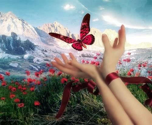 №67, Юлия Недосова №67, Юлия Недосова