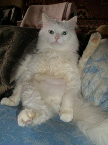 №102, Любовь Никитина, 25.10.1989, Санкт-Петербург №102, Любовь Никитина, 25.10.1989, Санкт-Петербург