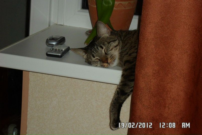 Равиля Кусарбаева | Магнитогорск