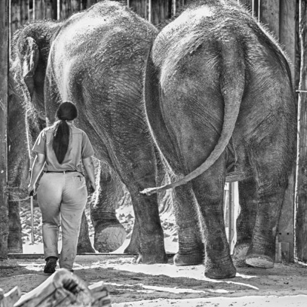 Лев Щуров | Amsterdam