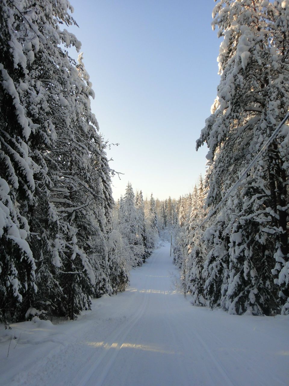 Надежда Абрамова | Кослан