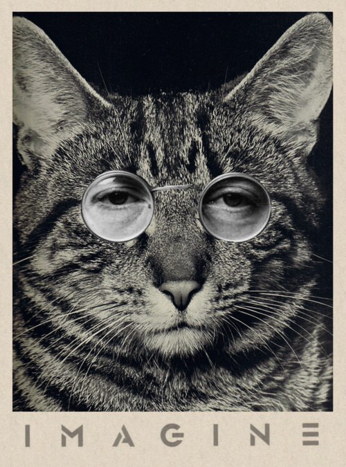 Евгения Иткина | Luxembourg