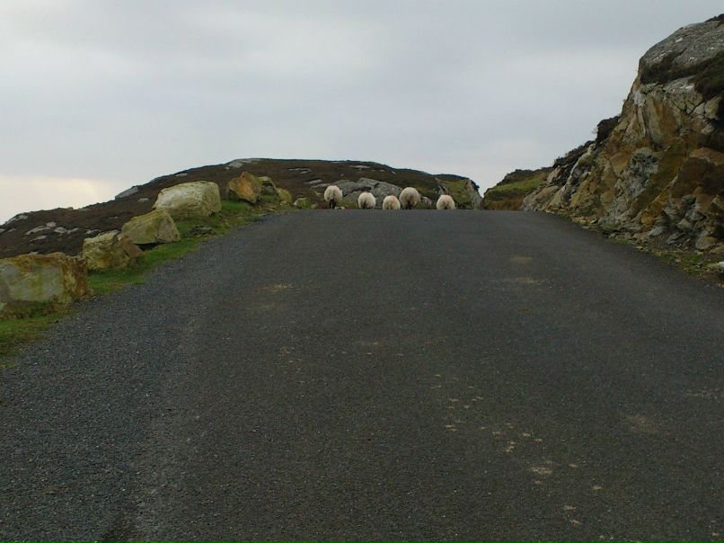 Ленка Данюкова Лелька | Hastings