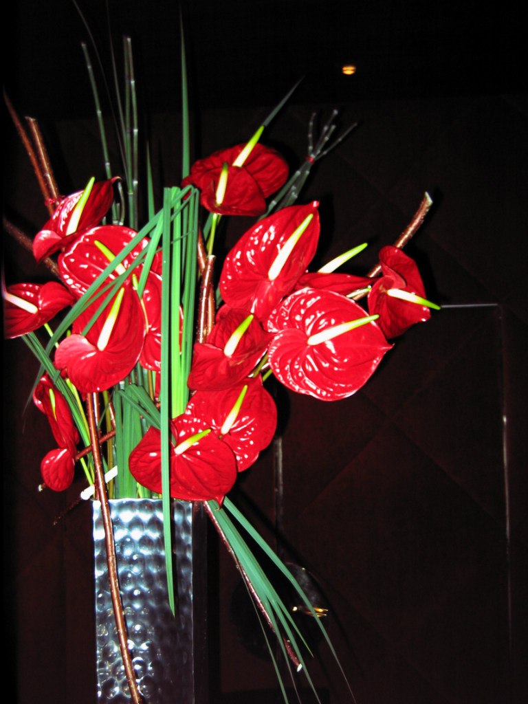 Ирина Леднева | Санкт-Петербург