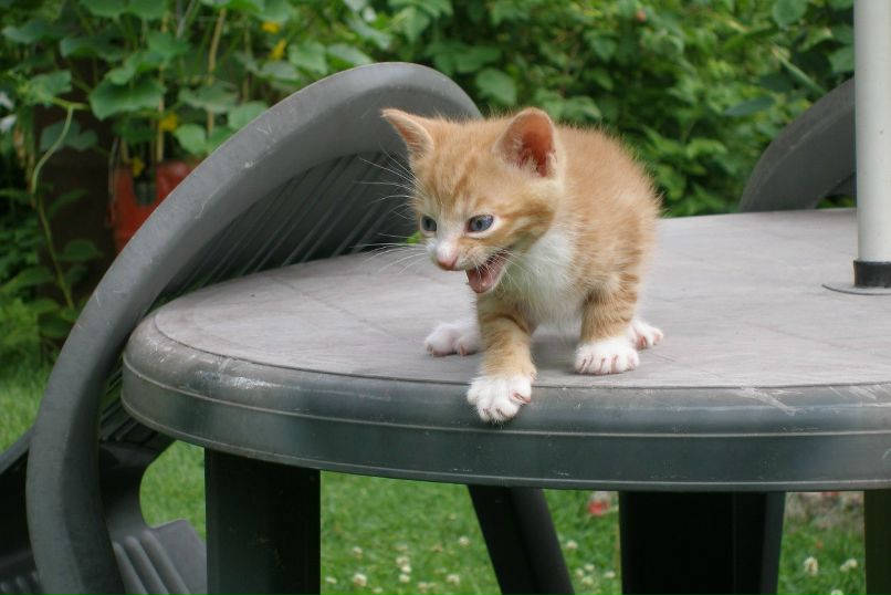 Валерий С. | Таллин