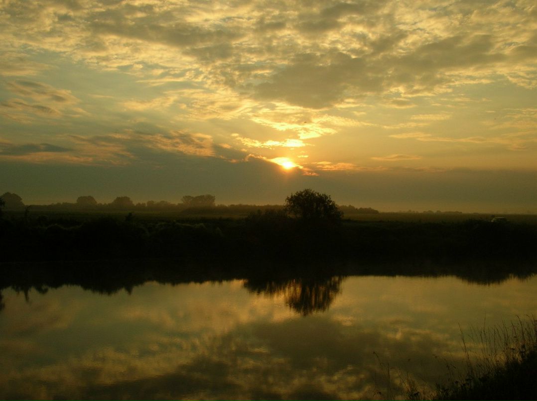 Миша Куликов | Москва