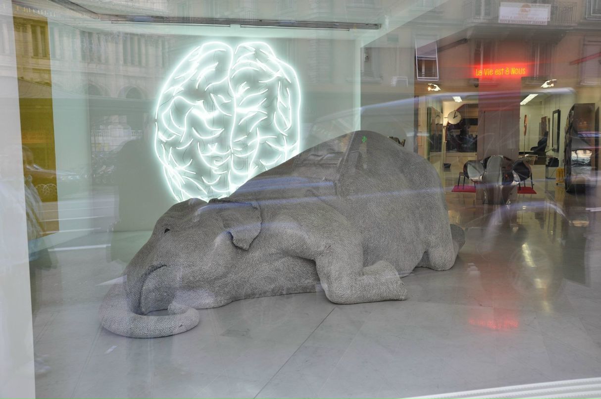 Мария Ильющенкова | Санкт-Петербург