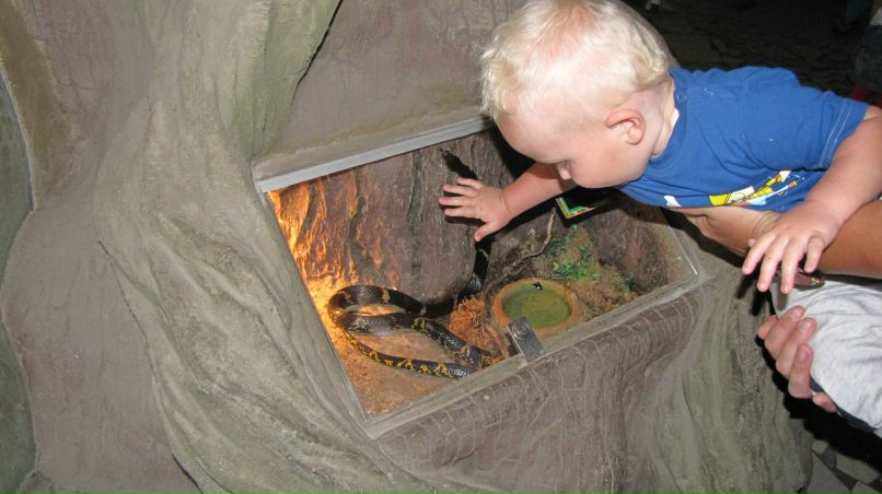 Lera Lebedeva | Киев