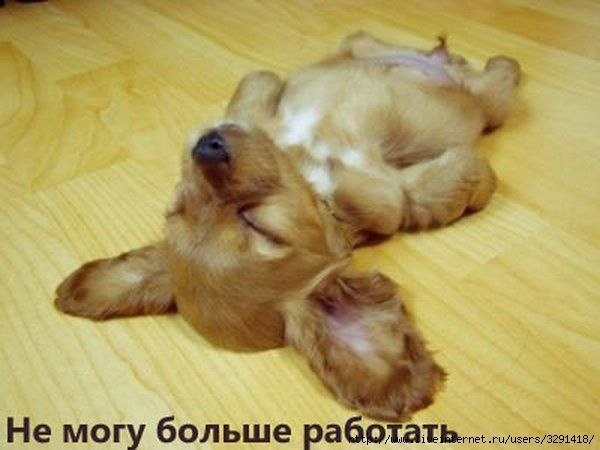 Ксения Рулик | Одесса