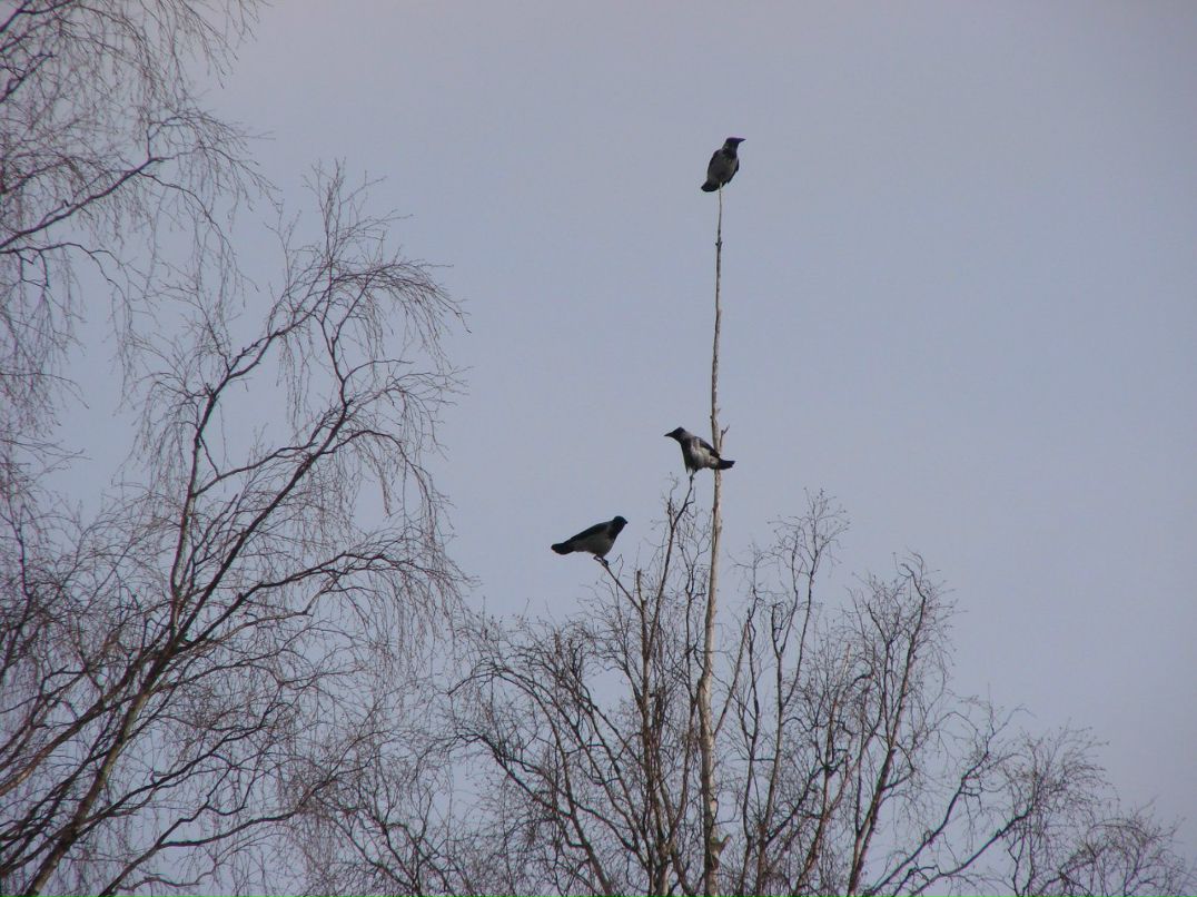 Евгений Осипов | Петрозаводск
