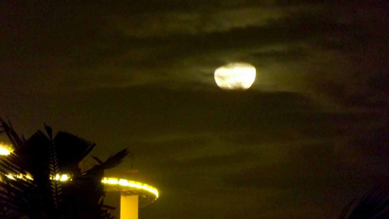 Дмитрий Овчинников | Москва