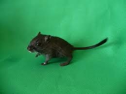 №195, Анастасия Новикова, Курск №195, Анастасия Новикова, Курск