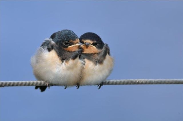 Рахман Бабаєв ツ ﺕ ټ | Киев