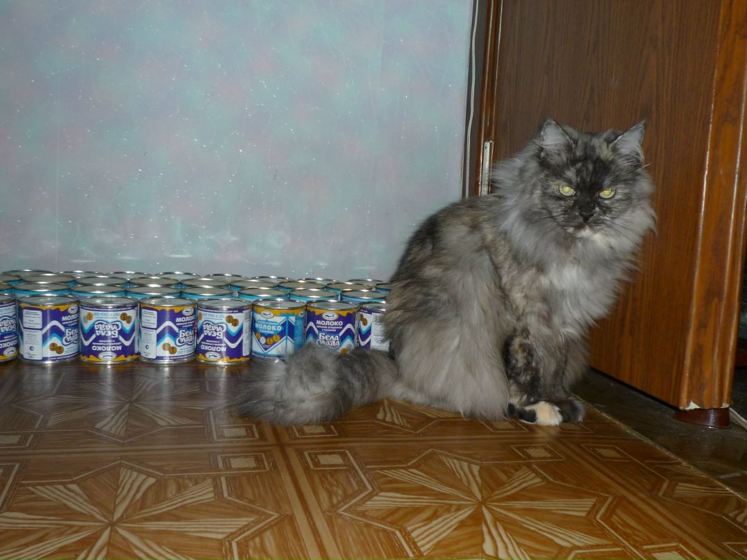 Настя Грибакина | 