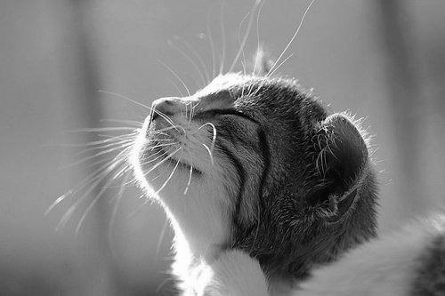 Марина Фроловская ღ  ღ  ღ | Москва