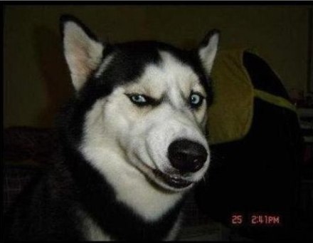 Yury Polyakov | Москва