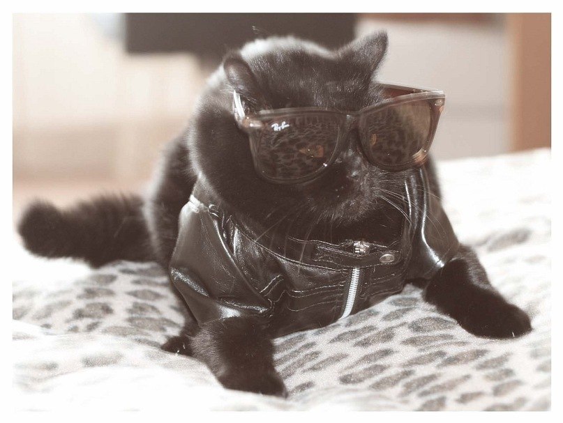 Сергей Пушкин | Москва