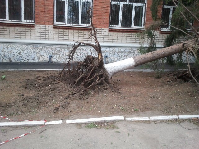 Люся Зеленская l.s.kind | Краснодар