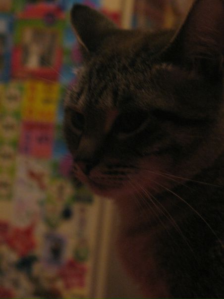 №154, Дмитрий Ярош-Дэмас, 41 год, Москва №154, Дмитрий Ярош-Дэмас, 41 год, Москва