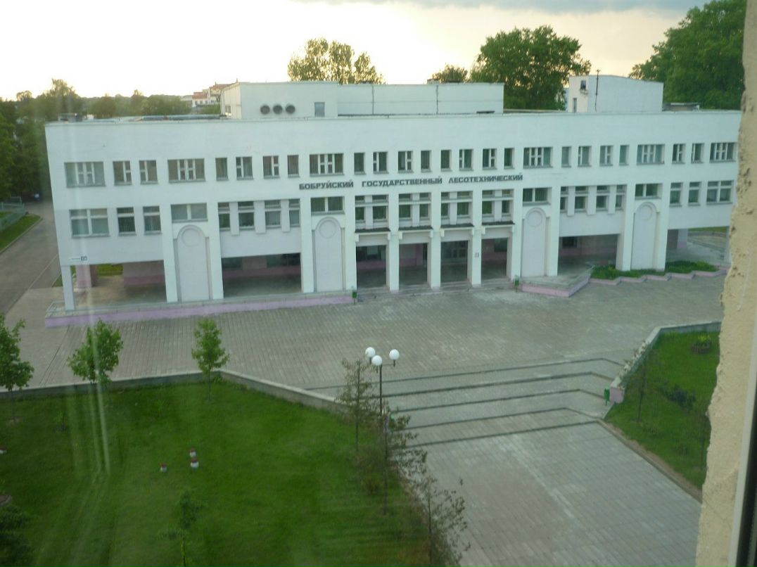 Витёк Лешкевич Васильевич | Осиповичи