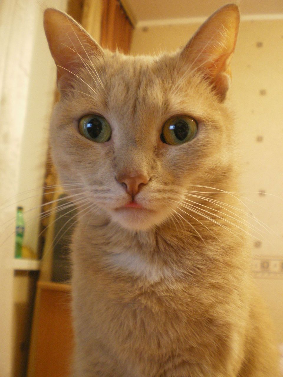 Таня Сафронова <3 Витальку | Москва