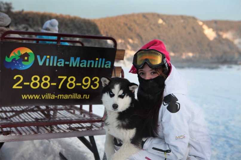 Татьяна Медведева Хаски-Вилла | Красноярск
