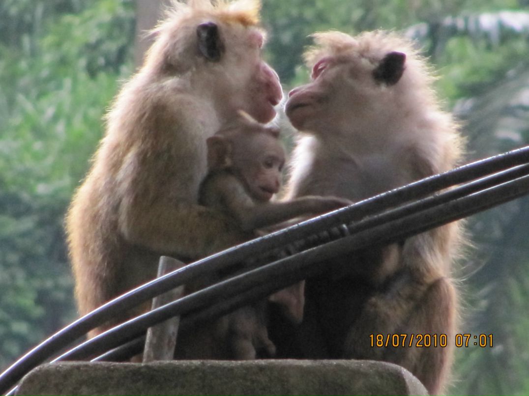 Ольга Богданова | Санкт-Петербург