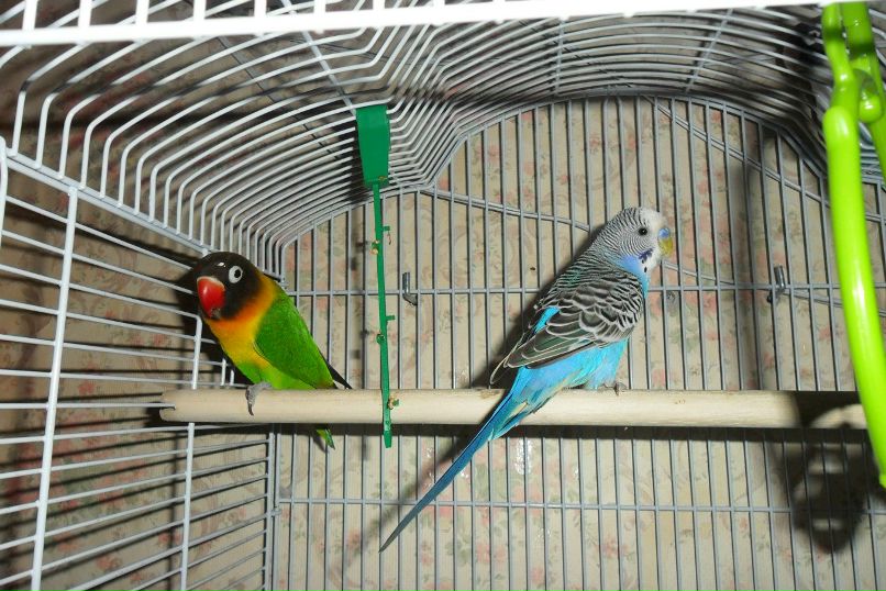 Василий Злобин | Санкт-Петербург