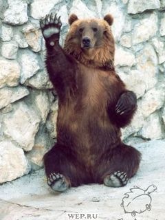 №2, Дмитрий Греков, Горловка №2, Дмитрий Греков, Горловка